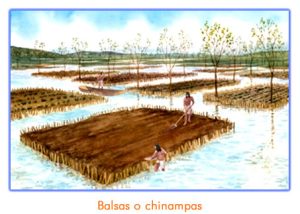Cómo cosechaban los aztecas