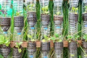 Cómo hacer un huerto colgante con botellas