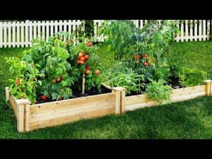 Cómo hacer un jardín de vegetales