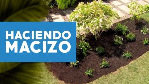 Cómo hacer un macizo de plantas