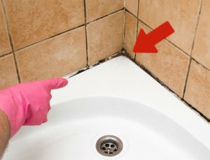 Cómo limpiar las paredes de los baños