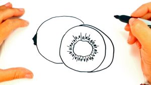 Cómo se dibuja un kiwi