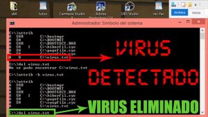 Cómo se eliminan los virus de la computadora
