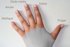 Cuál es el dedo del amor