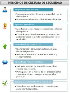 Por qué es importante promover la seguridad